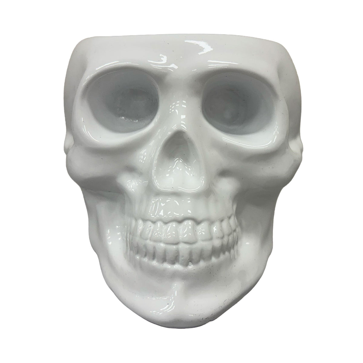 Urban Attitude Skull Resin Planter - Matte White (Sculptural Plant Pot)