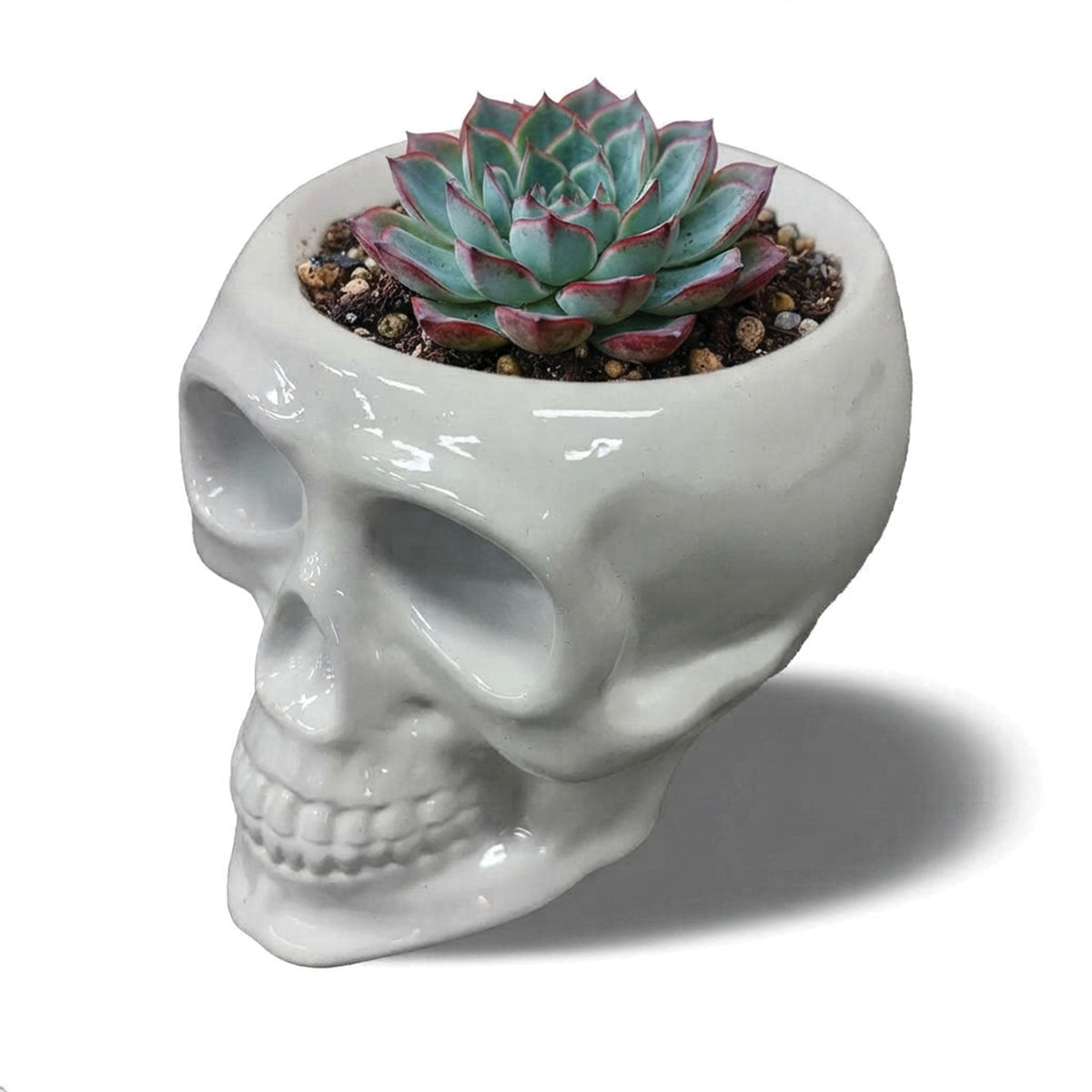 Urban Attitude Skull Resin Planter - Matte White (Sculptural Plant Pot)