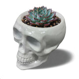 Urban Attitude Skull Resin Planter - Matte White (Sculptural Plant Pot)
