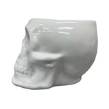 Urban Attitude Skull Resin Planter - Matte White (Sculptural Plant Pot)