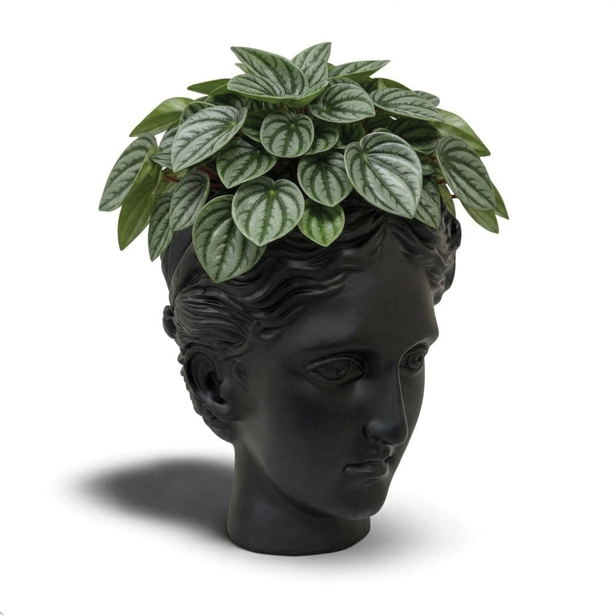 Urban Attitude Venus Head Resin Planter - Matte Black (Sculptural Plant Pot)