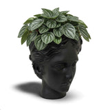 Urban Attitude Venus Head Resin Planter - Matte Black (Sculptural Plant Pot)