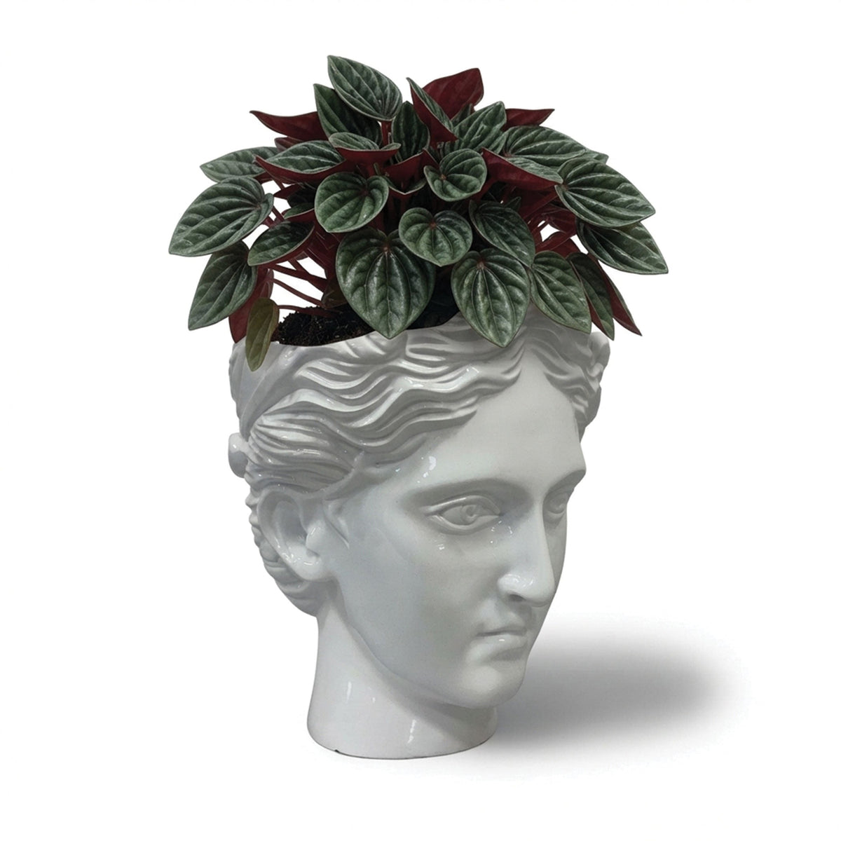 Urban Attitude Venus Head Resin Planter - Matte White (Sculptural Plant Pot)