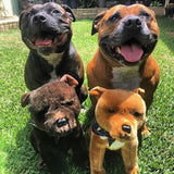Bocchetta Lester 32cm Sitting Staffy Plush Toy - Brown (Realistic Stuffed Animal Dog Gift)